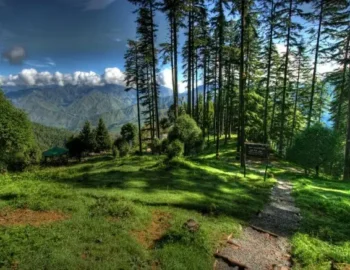 Dhanaulti