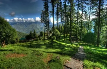 Dhanaulti