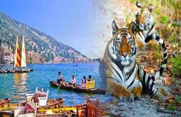 Jim-Corbett-Nainital-1